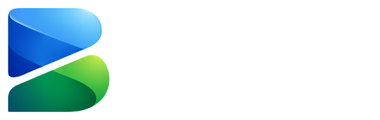 Binnovy logo, Horizontal · reverse